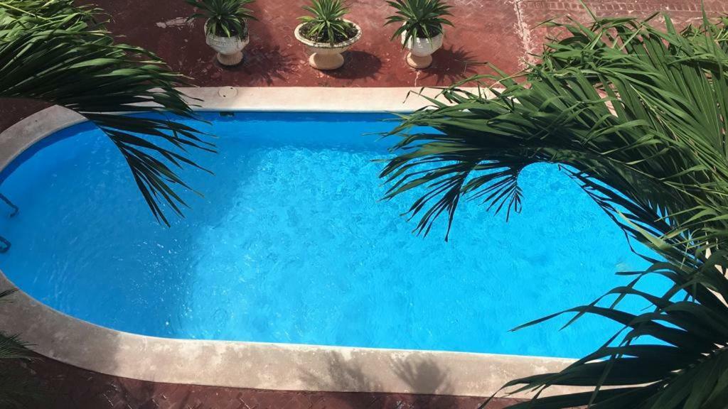 Arcoiris Share Apartment Bavaro Punta Cana Luaran gambar